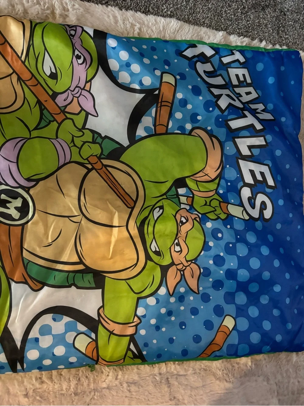 Nickelodeon Green & Blue Character Print Sleeping Bag from August 2016